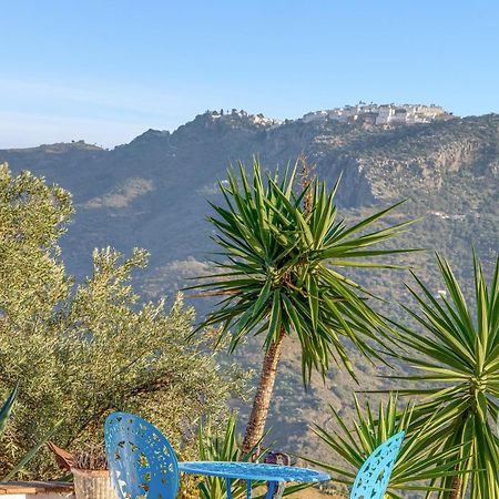 Cortijo Veraniego - Quiet Getaway Near Malaga Βίλα Colmenar Εξωτερικό φωτογραφία